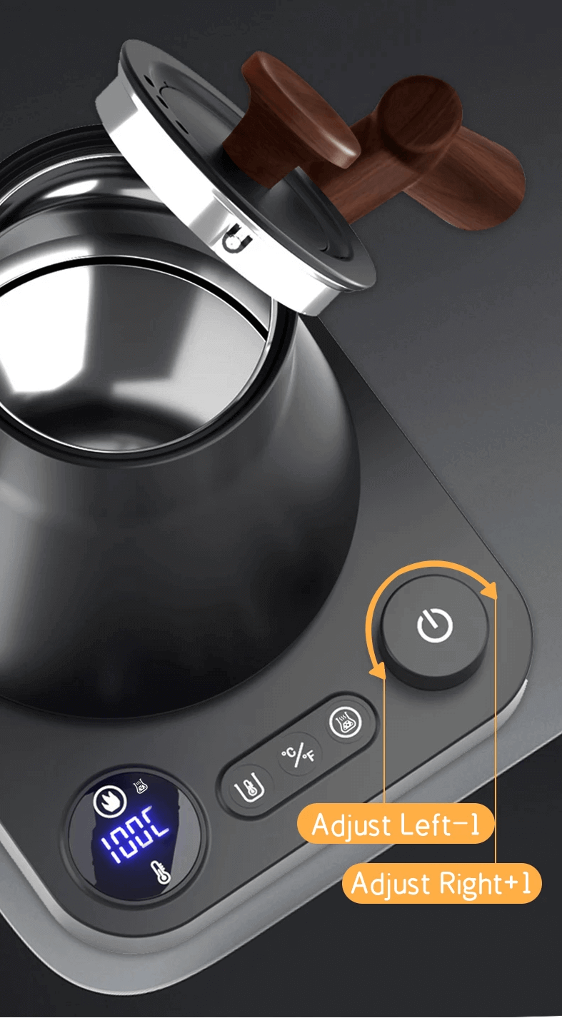 Elkedel med temperaturkontrol