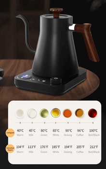 Elkedel med temperaturkontrol