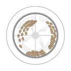 Santoker R3 Kafferister Home Roast